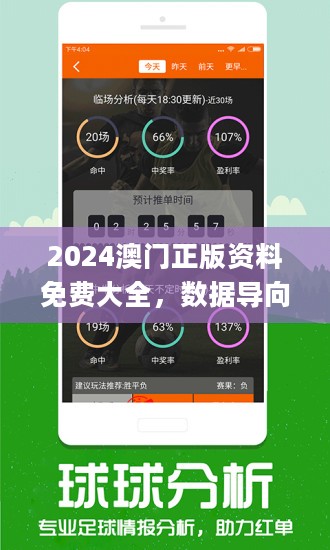 626969澳彩资料2024年,专业调查解析说明_社交版13.541