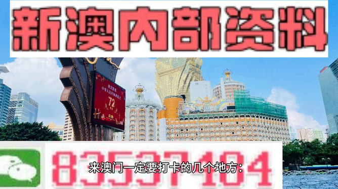 新澳门玄机免费资料,收益分析说明_领航版95.591