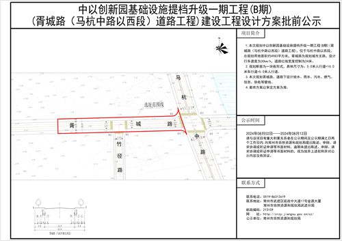 2024澳门特马今晚马报,创新性方案设计_基础版36.917