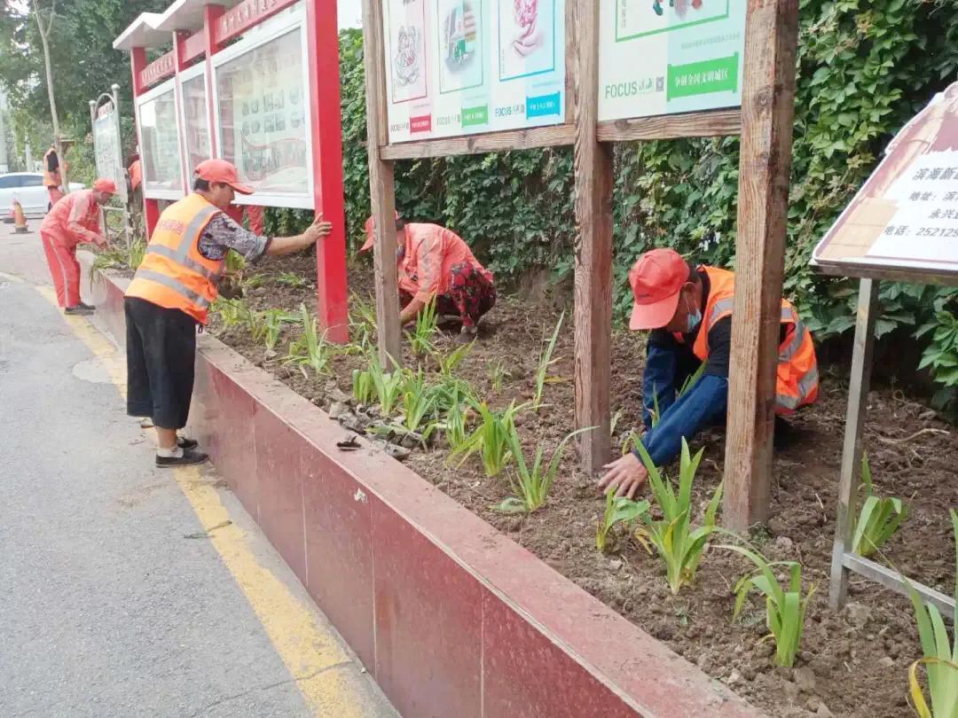 塘沽诺德名苑最新动态全面解析