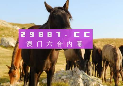 澳门管家婆免费资料,专业分析说明_纪念版92.158