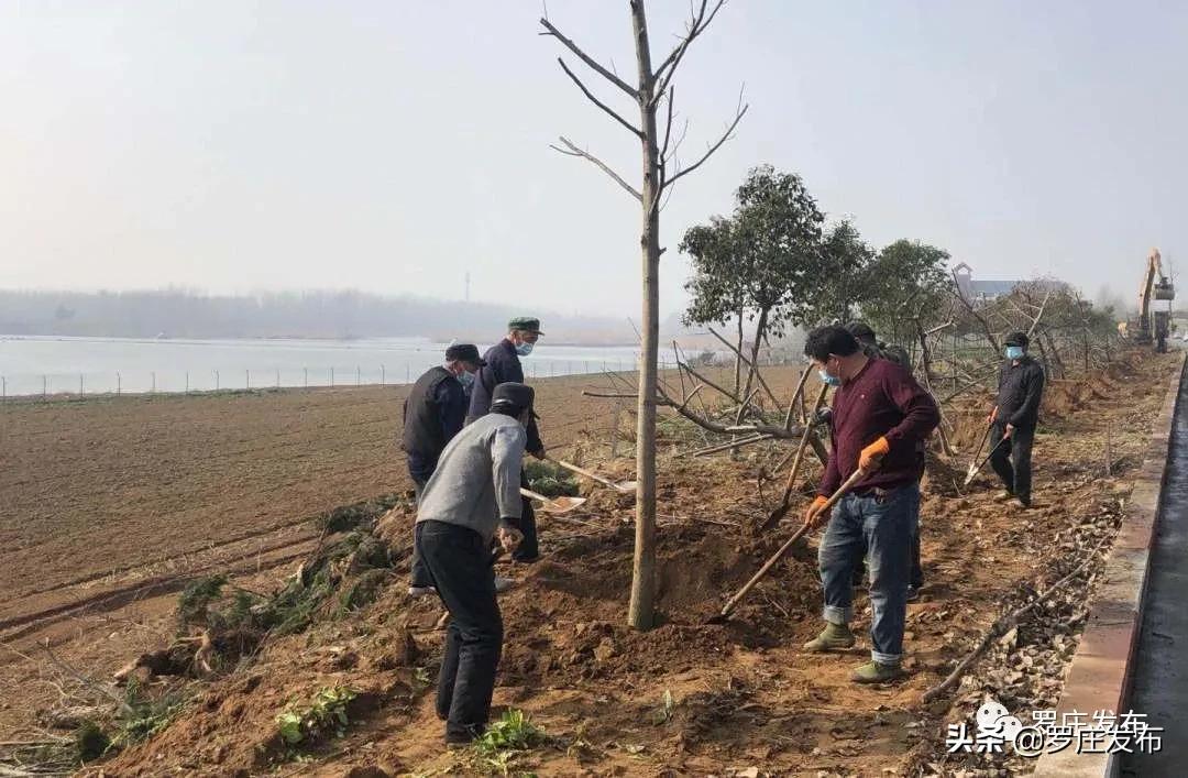 罗庄区卫生健康局领导团队引领区域健康事业迈向新高度