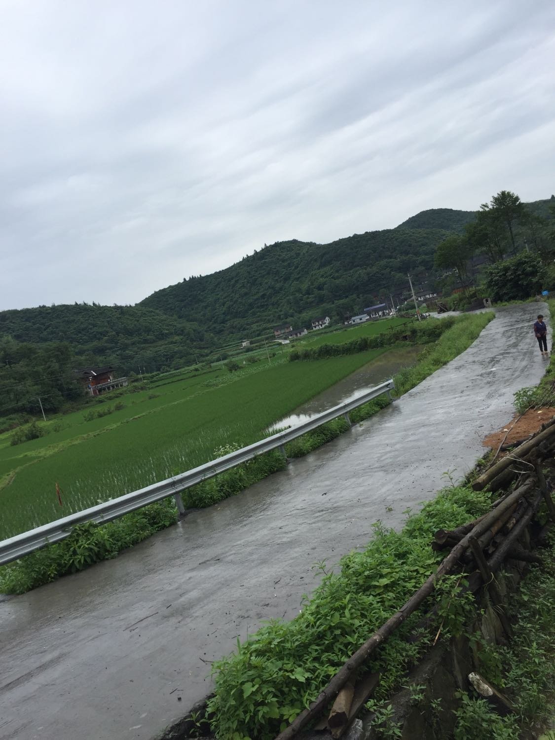 麻布加村最新天气状况预测