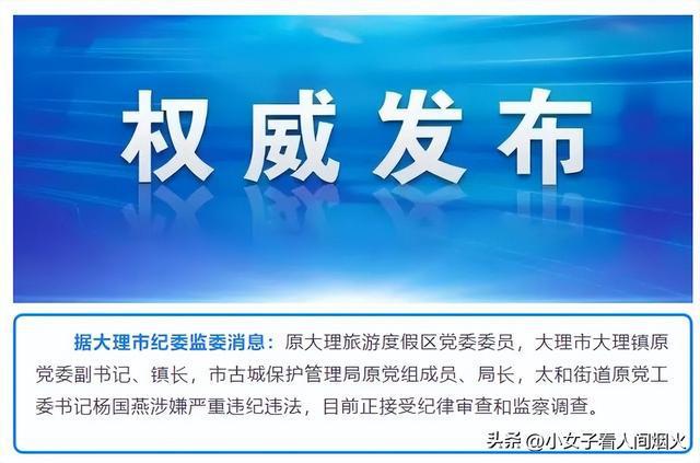 党家里村委会最新招聘信息解读与概览