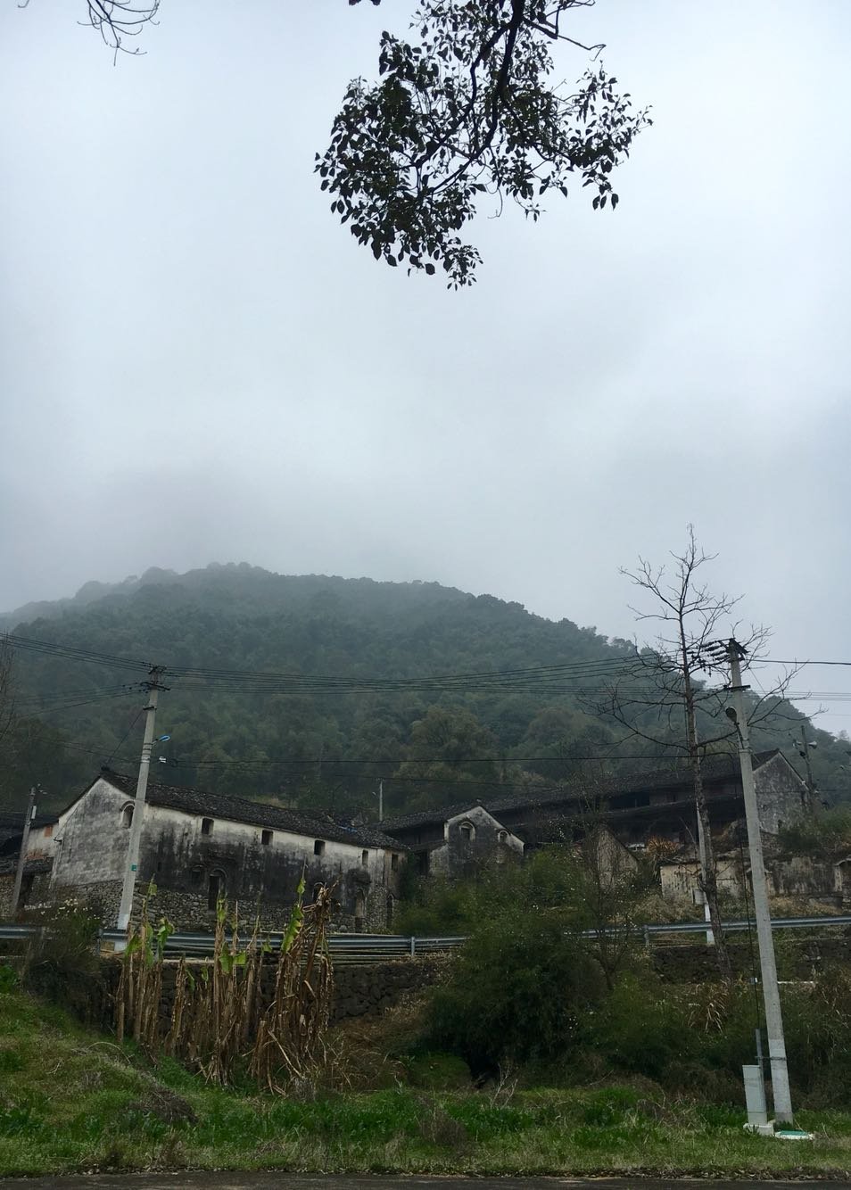 岩榴村天气预报更新通知