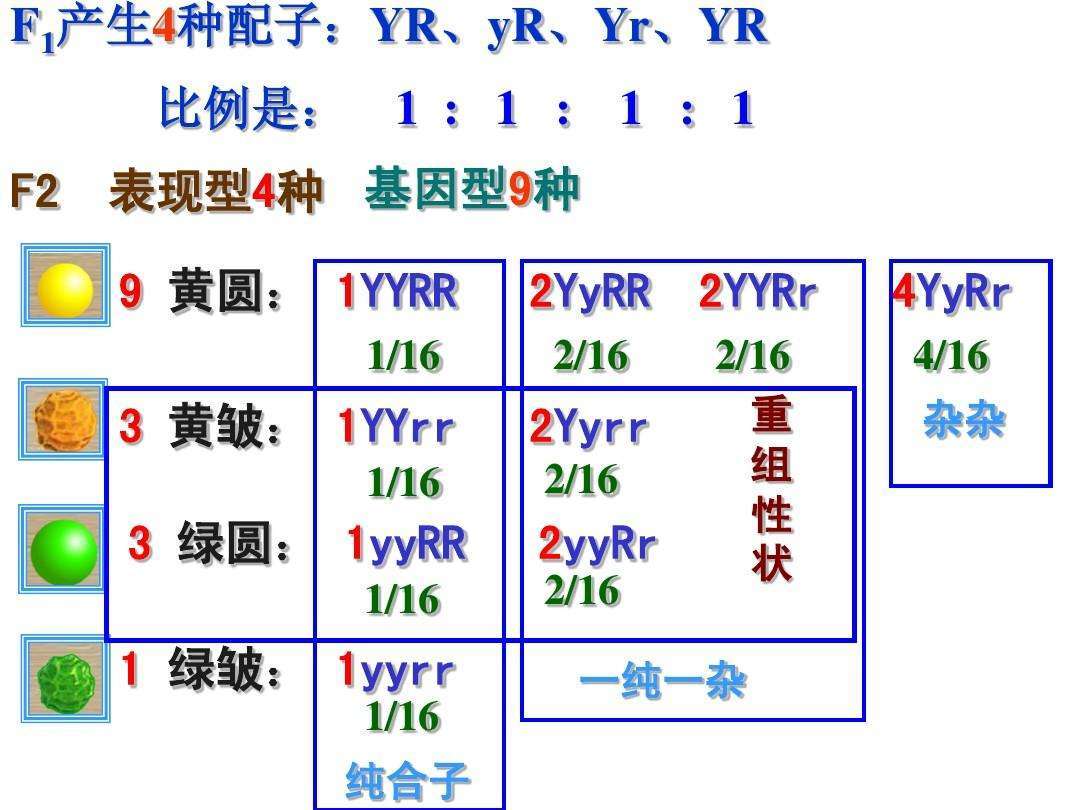 香椿丛林 第3页