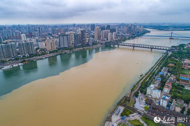 湖北省应城市最新新闻速递