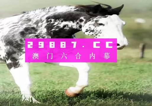 最准一肖一码一一香港澳王一王,最新核心解答落实_特别版3.363