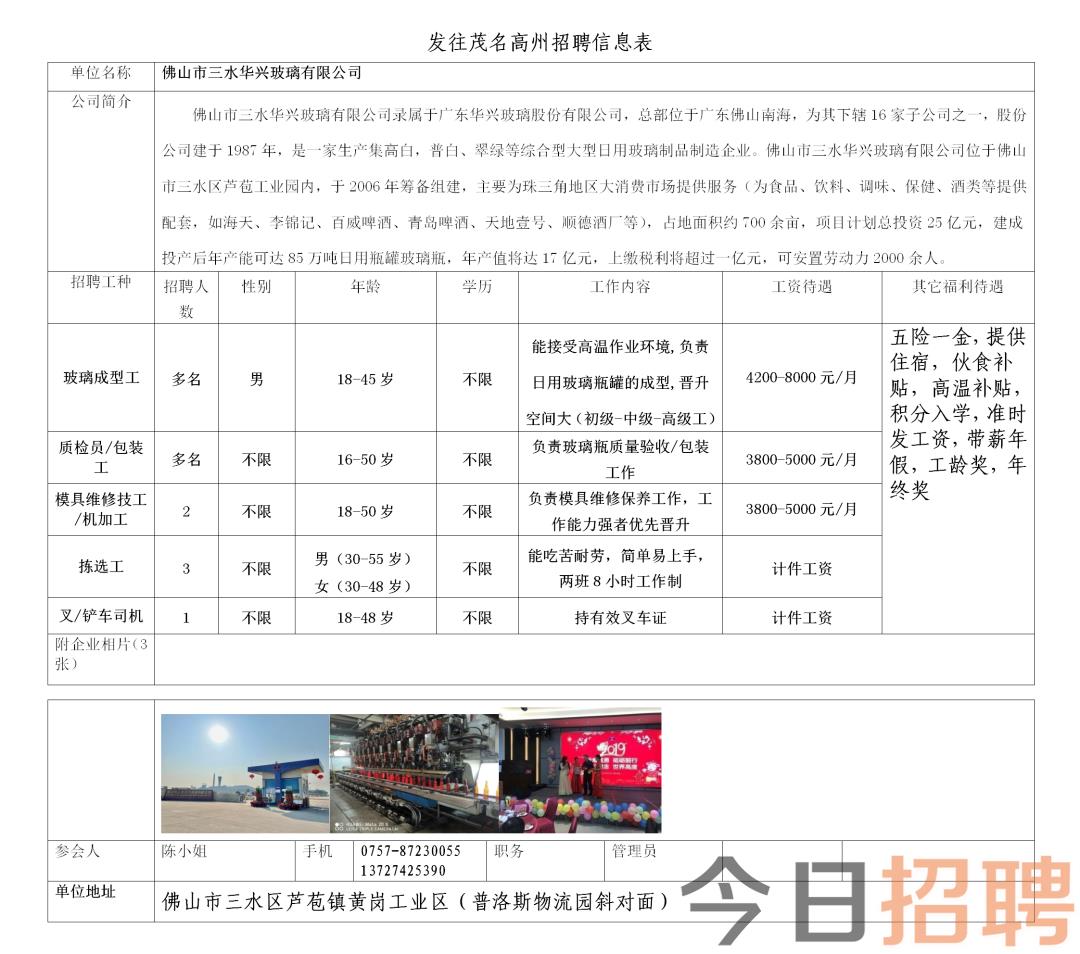 马站镇最新招聘信息详解及深度解读