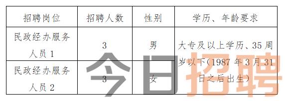 河西区人力资源和社会保障局最新招聘全解析