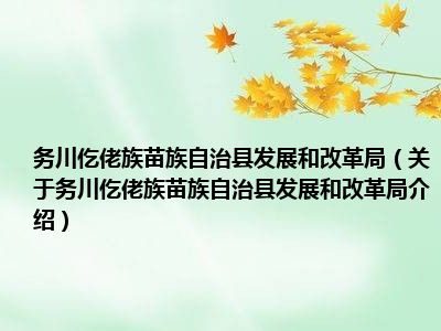 务川仡佬族苗族自治县统计局发展规划，探索未来，推动统计事业新发展