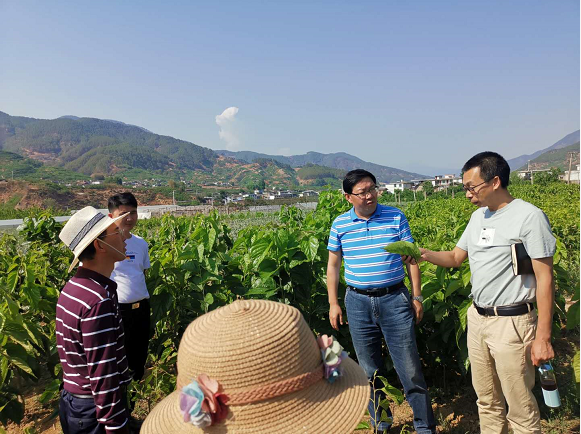 西沙群岛农业农村局新项目探索海洋农业新领域，助力海洋经济高质量发展