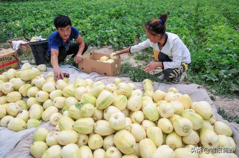 呼和车力蒙古族乡最新动态报道