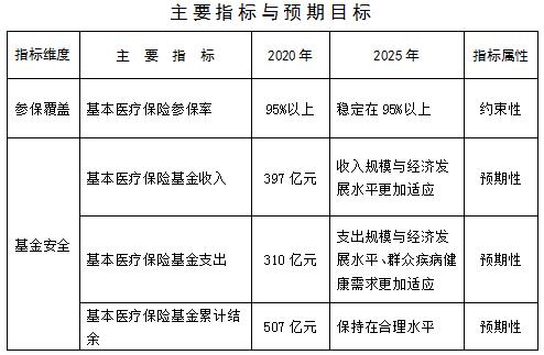 平江区医疗保障局最新发展规划概览