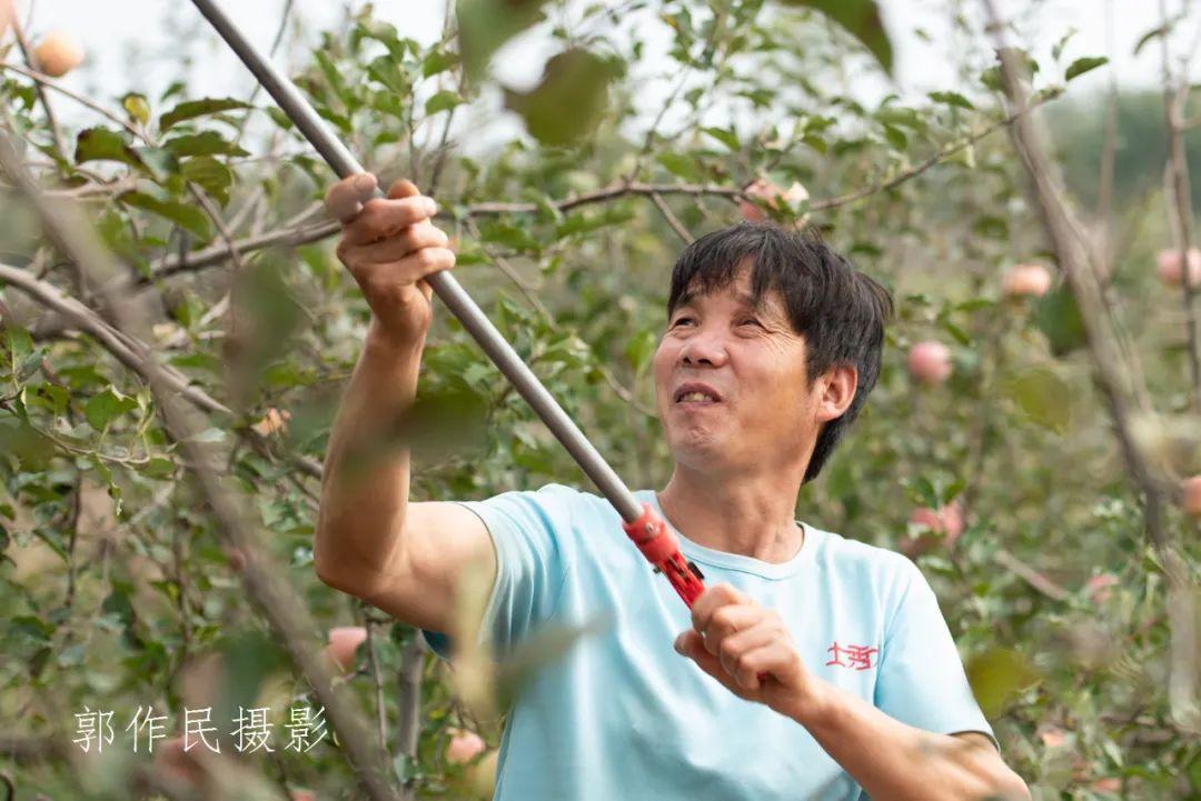 五亩乡最新交通动态报道