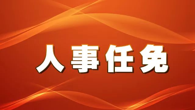 新电村人事任命动态更新