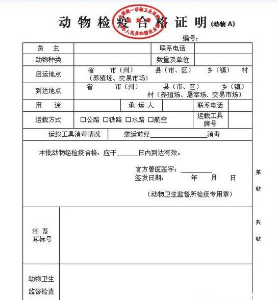 和龙市防疫检疫站人事调整重塑领导团队，推动防疫检疫工作新篇章