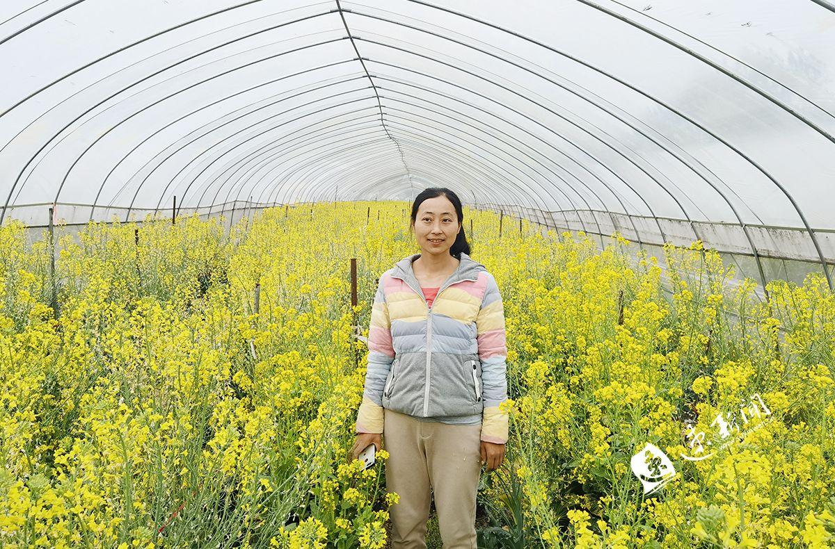 龙镇最新招聘信息汇总