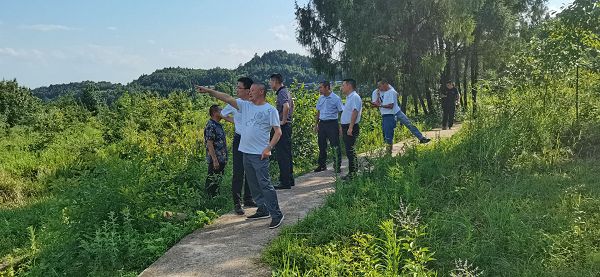 鹅蛋山村新任领导引领乡村开启繁荣新篇章