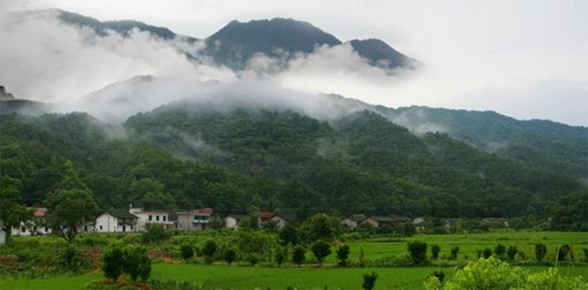 水口乡天气预报更新通知