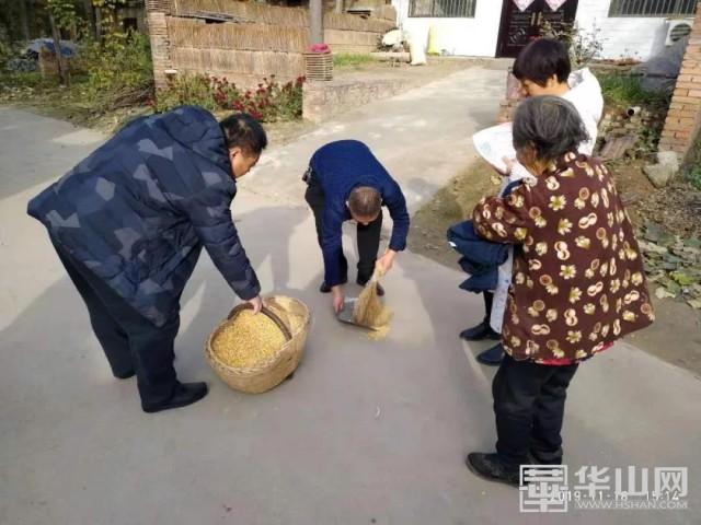 莲花寺村委会乡村振兴与社区共荣发展规划蓝图