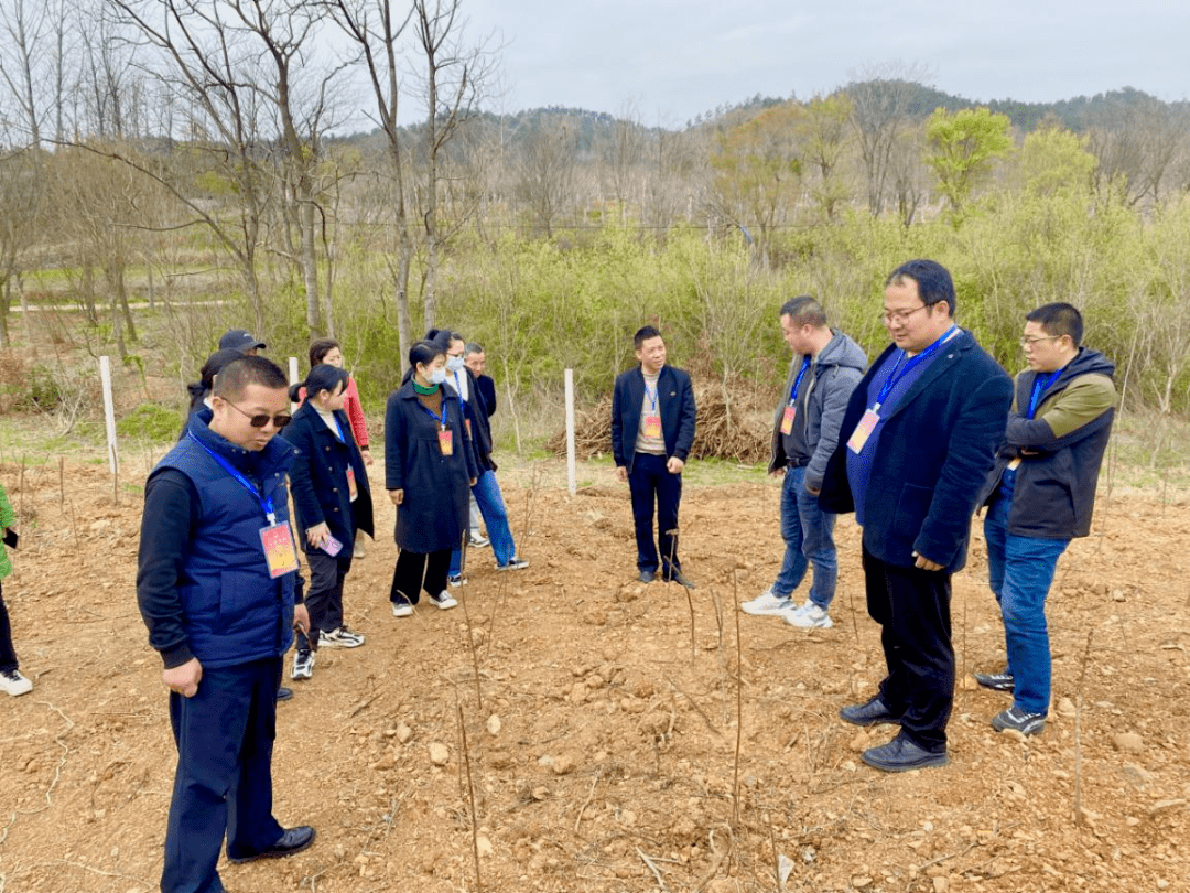 大栗树乡新项目引领乡村崭新篇章发展之路