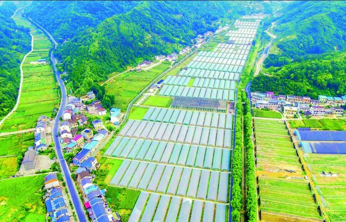 洪湖市农业农村局最新发展规划概览