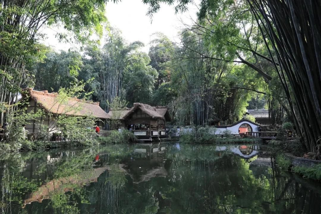 青羊北路社区新项目，重塑城市生活典范